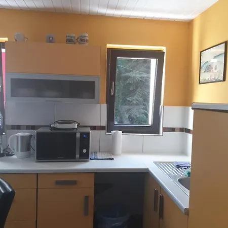 Lemberg Holiday home *